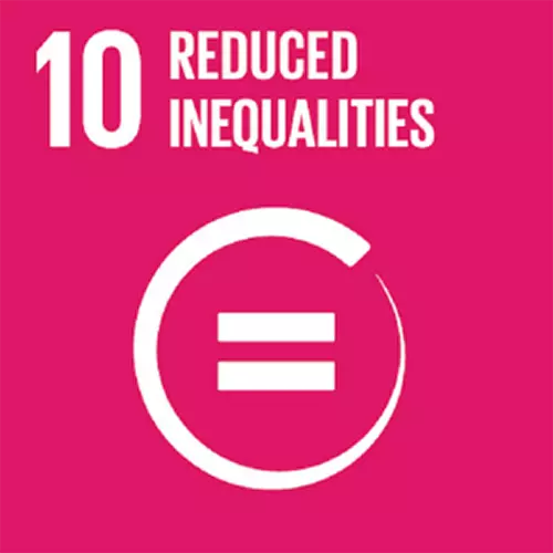 Goal 10: reduced inequalities