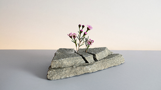 Hur ser arbetslivet ut 2021 – Fem trender