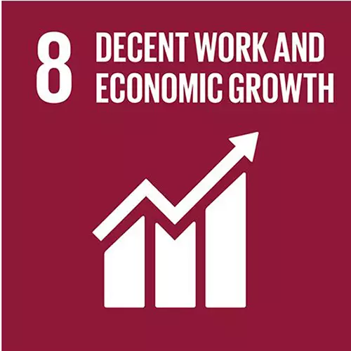 Goal 8: decent work and economic growth