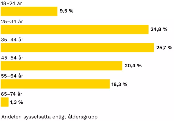 Andelen sysselsatta enligt åldersgrupp