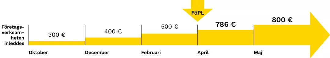 Ny företagarens arbetsinkomst per månad